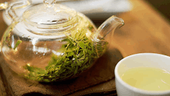 Cardio Slim Tea Ingredient2